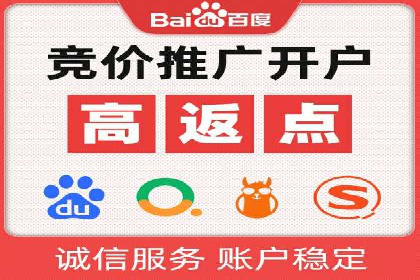 案例研究：百度推广托管助力电商品牌快速崛起